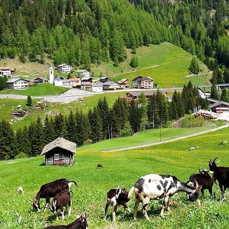 Grosszuegige Sonnige Apartment